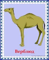 Розвиток дитини картки вивчаємо тварин і птахів (англійська мова для дітей) Розвиток дитини картки вивчаємо тварин і птахів