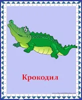 Розвиток дитини картки вивчаємо тварин і птахів (методики) Розвиток дитини картки вивчаємо тварин і птахів