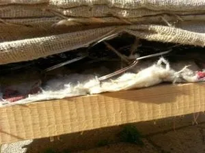 Реставрація старого дивана своїми руками - меблі своїми руками - дивани (чохол) Реставрація старого дивана своїми руками - меблі своїми руками - дивани