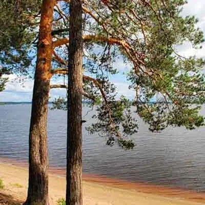 Річки пермського краю 1