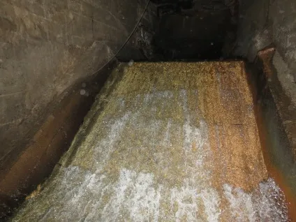 річка Неглинка