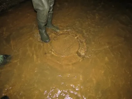 річка Неглинка