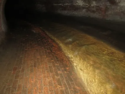 річка Неглинка