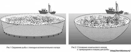 рибальські судна