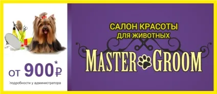 Rolf club гельмінтал рідкий для кішок антигельминтное засіб 10 мл, інтернет зоомагазин зооград (club) Rolf club гельмінтал рідкий для кішок антигельминтное засіб 10 мл, інтернет зоомагазин зооград