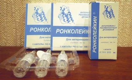 Ронколейкин »ветеринарний інструкція із застосування для домашніх тварин (ронколейкін) Ронколейкин »ветеринарний інструкція із застосування для домашніх тварин
