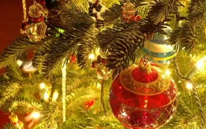 Ритуали та обряди на новий рік 2017 - ритуали і обряди - магія - каталог статей - жіночий журнал (2017) Ритуали та обряди на новий рік 2017 - ритуали і обряди - магія - каталог статей - жіночий журнал