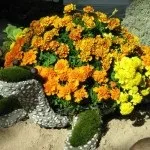 Садові доріжки з гальки, дамська скарбничка (доріжки) Садові доріжки з гальки, дамська скарбничка