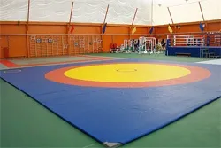 Самбо, система тренувань і прийоми (прийоми) Самбо, система тренувань і прийоми