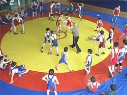 Самбо, система тренувань і прийоми (самбо) Самбо, система тренувань і прийоми