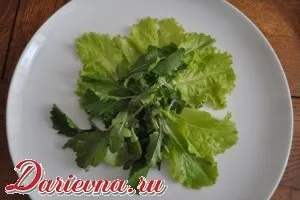 Салат з апельсинами і копченою куркою (салат апельсинів м'яса) Салат з апельсинами і копченою куркою