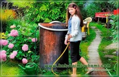 Сад з мінімальним відходом своїми руками - що посадити як облаштувати, своїми руками - як зробити (мінімальним) Сад з мінімальним відходом своїми руками - що посадити як облаштувати, своїми руками - як зробити