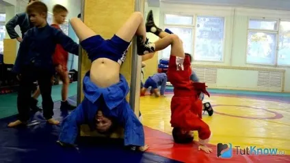 Самбо в домашніх умовах для початківців (домашніх) Самбо в домашніх умовах для початківців