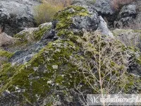 Сайт Удалянчи відпочинок і лікування в китаї (Удалянчи) Сайт Удалянчи відпочинок і лікування в китаї