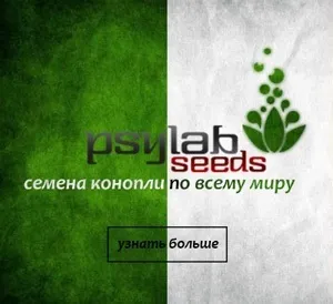 Найпростіший спосіб виростити марихуану