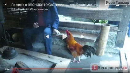 Сайт відеоблог polinarepik https
