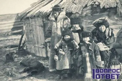 Самоед хто це такий, фото опис, характеристики (самоед) Самоед хто це такий, фото опис, характеристики