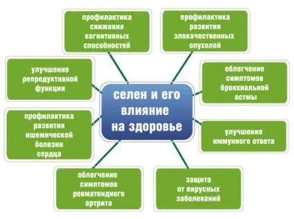 Селен і цинк