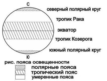 Селезньов а