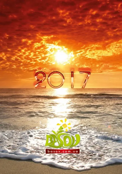 Шаблони кишенькових календарів 2017, 70х100мм (шаблони кишенькових календарів) Шаблони кишенькових календарів 2017, 70х100мм