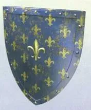 щити лицарів