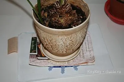 Шкатулка своїми руками з коробки і намистин (коробки) Шкатулка своїми руками з коробки і намистин