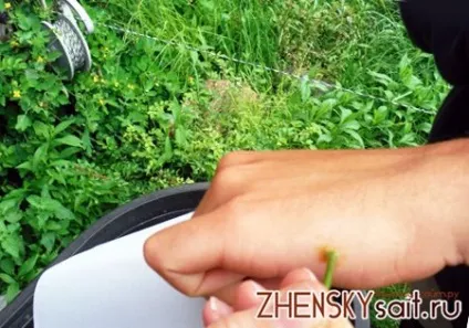 Шіпіца на пальці руки, лікування і причини її появи (лікування) Шіпіца на пальці руки, лікування і причини її появи