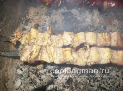 Шашлик з щуки - кулінарія для чоловіків (щуки) Шашлик з щуки - кулінарія для чоловіків