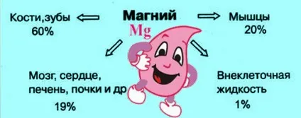 Симптоми нестачі калію в організмі (симптоми) Симптоми нестачі калію в організмі
