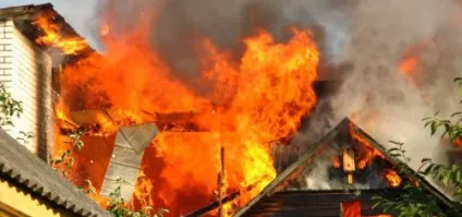 Синиця залетіла на балкон прикмети і забобони (синиця) Синиця залетіла на балкон прикмети і забобони