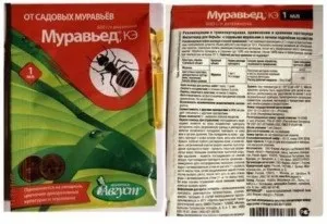 Як позбутися від попелиці в городі назавжди, нові і народні засоби (городі) Як позбутися від попелиці в городі назавжди, нові і народні засоби