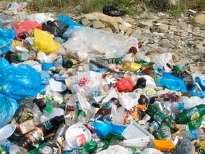 Як витягти зі сміття прибуток (сміття) Як витягти зі сміття прибуток