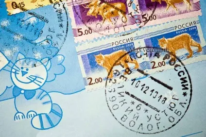 Як написати лист дідові морозу (морозу) Як написати лист дідові морозу