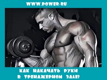 Як накачати руки в тренажерному залі, академія спорту (як накачати руки в тренажерному залі? Як накачати руки) Як накачати руки в тренажерному залі, академія спорту