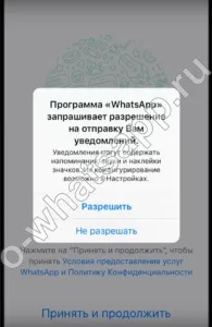 Завантажити та встановити whatsapp на телефон безкоштовно на російській (встановити) Завантажити та встановити whatsapp на телефон безкоштовно на російській