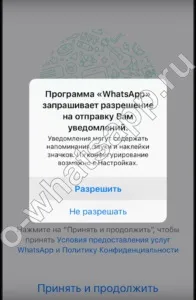 Завантажити та встановити whatsapp на телефон безкоштовно на російській (безкоштовно) Завантажити та встановити whatsapp на телефон безкоштовно на російській