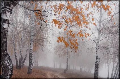 Казкова осінь