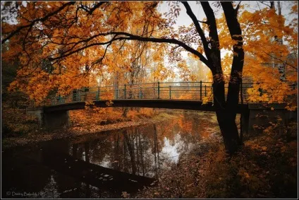 Казкова осінь
