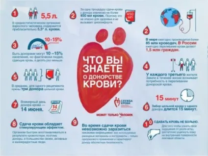 Скільки платять за здачу крові правила, пільги, нюанси (платять) Скільки платять за здачу крові правила, пільги, нюанси