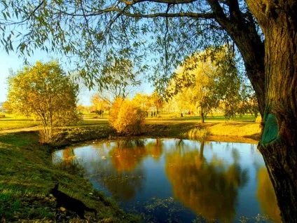 Казкова осінь