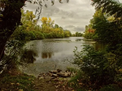 Казкова осінь