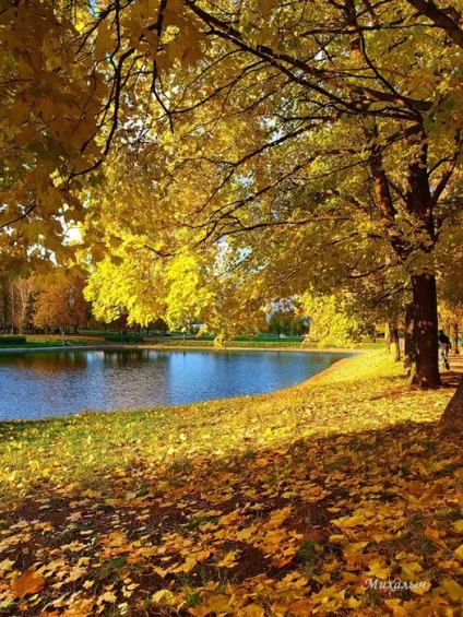 Казкова осінь