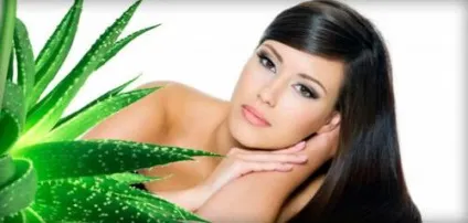 Сік алое для обличчя користь, властивості, як використовувати від прищів на шкірі (використовувати) Сік алое для обличчя користь, властивості, як використовувати від прищів на шкірі