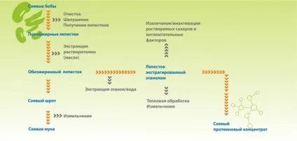 Соєвий протеїновий концентрат