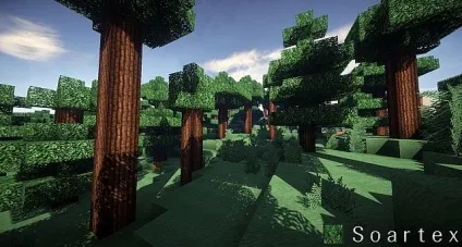 Soartex fanver
