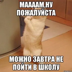 Поради дитячого психолога іноді можна школу прогуляти, а на перерві краще жувати фрукти - блог (іноді) Поради дитячого психолога іноді можна школу прогуляти, а на перерві краще жувати фрукти - блог