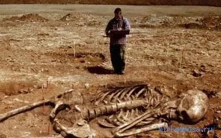 Сонник велетень, тлумачення сну велетень, до чого сниться і що означає сон, в якому приснилося (тлумачення) Сонник велетень, тлумачення сну велетень, до чого сниться і що означає сон, в якому наснилося