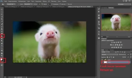 Створення колажів в фотошопі
