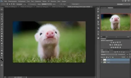 Створення колажів в фотошопі