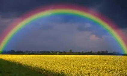 Сонник наснилася веселка до чого сниться веселка уві сні